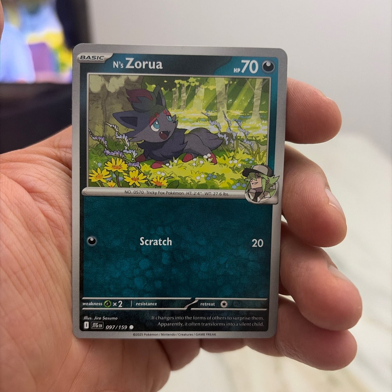 Zoura
